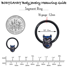 Load image into Gallery viewer, 16G 3/8 Purple Gem Black Opulent Owl Hinged Segment Ring
