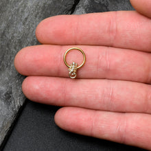 Load image into Gallery viewer, 16G 3/8 Clear Gem Gold Tone Luscious Lizard Hinged Segment Ring
