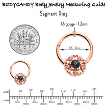 Load image into Gallery viewer, 16G 3/8 Vitrail Gem Rose Gold Hue Flower Hinged Segment Ring
