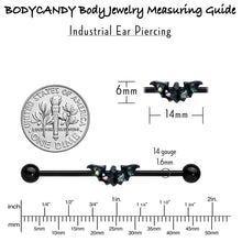 Load image into Gallery viewer, 14G Flying Black Bat Industrial Barbell 38mm
