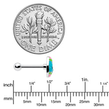Load image into Gallery viewer, 16G 5/16 Celebration Easter Egg Cartilage Tragus Earring
