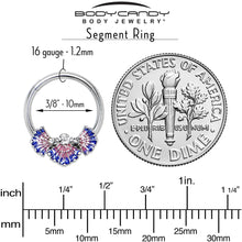 Load image into Gallery viewer, 16G 3/8 Clear CZ Gem Mesmerizing Sea Shells Hinged Segment Ring
