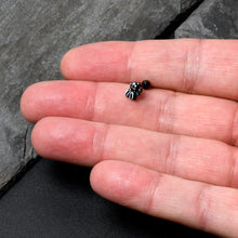 Load image into Gallery viewer, 16G 1/4 Black Funky Skunk Cartilage Tragus Earring
