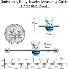 Load image into Gallery viewer, 14G Easter Egg Bunny Industrial Barbell 38mm
