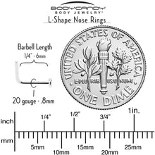 Load image into Gallery viewer, 20G 1/4 ASTM F-136 Implant Grade Titanium 2mm Disc End L Shape Nose Ring
