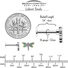 Load image into Gallery viewer, 16G Dragonfly Colors Flat Back Earring
