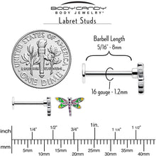 Load image into Gallery viewer, 16G Dragonfly Colors Flat Back Earring
