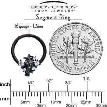 Load image into Gallery viewer, 16G 3/8 Clear CZ Gem Black Raven Witch Hinged Segment Ring
