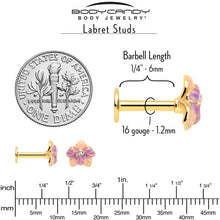 Load image into Gallery viewer, 16G 1/4 Clear Gem Gold Tone Pastel Flower Cartilage Labret
