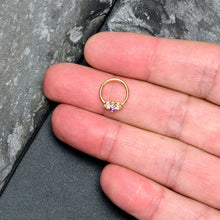 Load image into Gallery viewer, 16G 3/8 Purple Gem Gold Tone Beauty Bug Hinged Segment Ring
