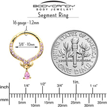 Load image into Gallery viewer, 16G 3/8 Pink CZ Gem Gold Tone Elegant Curves Hinged Segment Ring
