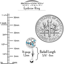 Load image into Gallery viewer, 16G 5/16 Blue Gem Lunar Dragonfly Curved Eyebrow Ring
