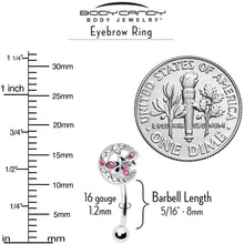 Load image into Gallery viewer, 16G 5/16 Pink Gem Lunar Dragonfly Curved Eyebrow Ring

