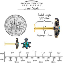 Load image into Gallery viewer, 16G 5/16 Blue Gem Gold Tone Sweet Sea Turtle Labret Monroe Tragus
