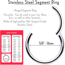 Load image into Gallery viewer, 12G 5/8 316L Surgical Steel Precision Hinged Segment Hoop
