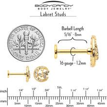 Load image into Gallery viewer, 16G 5/16 Clear Gem Gold Tone Interally Threaded Dragonfly Labret
