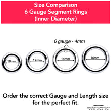 Load image into Gallery viewer, 6G 3/8 316L Surgical Steel Precision Hinged Segment Hoop
