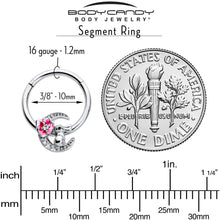 Load image into Gallery viewer, 16G 3/8 Clear CZ Gem Rabbit On The Moon Pink Hinged Segment Ring
