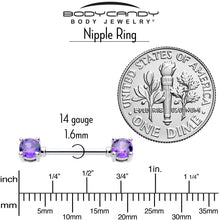 Load image into Gallery viewer, 14G 9/16 Purple CZ Gem February Birthstone Nipple Ring Set
