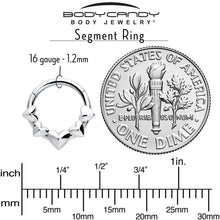 Load image into Gallery viewer, 16G 5/16 3D Hearts Hinged Segment Ring
