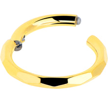 Load image into Gallery viewer, Implant Grade Titanium Hinged Segment Ring - 16G 5/16

