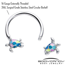 Load image into Gallery viewer, 16G 3/8 Glitter Turtle Horseshoe Circular Barbell

