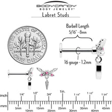 Load image into Gallery viewer, 16G 5/16 Pink Gem Swank Dragonfly Dangle Labret Monroe Tragus
