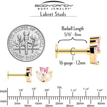 Load image into Gallery viewer, 16G 5/16 Pink CZ Gem Gold Tone Love Flower Labret Monroe Tragus
