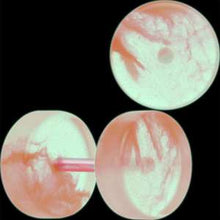 Load image into Gallery viewer, Glow in the Dark Two Tone Cheater Plug Set
