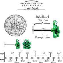 Load image into Gallery viewer, 16G 5/16 Texture Turtle Labret Monroe Tragus
