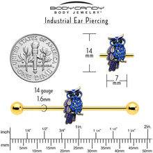 Load image into Gallery viewer, 14G Blue Gem Gold Tone Sky Owl Industrial Barbell 38mm
