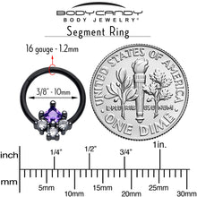 Load image into Gallery viewer, 16G 3/8 Purple CZ Gem Black Rhombus Riot Hinged Segment Ring
