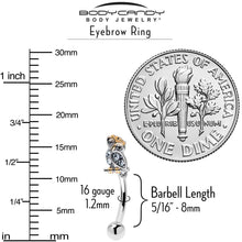 Load image into Gallery viewer, 16G 5/16 Clear Gem Evening Owl Curved Eyebrow Ring
