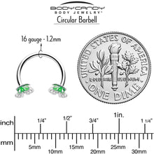Load image into Gallery viewer, 16G 3/8 Butterfly Green Splash Horseshoe Circular Barbell
