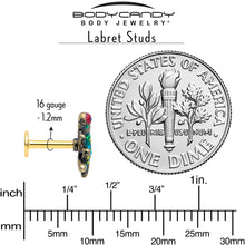 Load image into Gallery viewer, 16G Frog Flat Back Earring Set Internally Threaded 3 Pack
