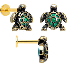 Load image into Gallery viewer, 16G Sea Turtle Flat Back Earring Set Internally Threaded 3 Pack

