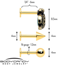 Load image into Gallery viewer, 16G Sea Turtle Flat Back Earring Set Internally Threaded 3 Pack
