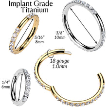 Load image into Gallery viewer, Implant Grade Titanium Forward CZ Double Sided Hoop Segment Ring
