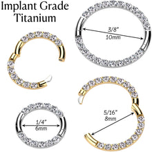 Load image into Gallery viewer, 16G Implant Grade Titanium CZ Double Row Hoop Segment Ring
