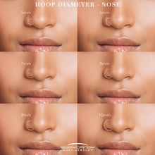 Load image into Gallery viewer, 20G Double Row Micro Gem Implant Grade Titanium Hinged Double Hoop Nose Ring
