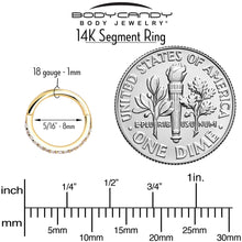 Load image into Gallery viewer, 14k Solid Yellow Gold Hinged Segment Ring Forward Facing CZ 18G 5/16

