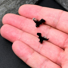 Load image into Gallery viewer, Black Acrylic Tyrannosaurus Rex Dinosaur Stud Earrings
