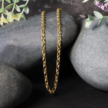 Load image into Gallery viewer, 3.2mm 14k Yellow Gold Oval Rolo Chain
