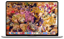 Load image into Gallery viewer, 2019 Apple MacBook Pro 16-inch – i9 2.4GHz 16GB RAM 512GB SSD | Radeon Pro 5300M
