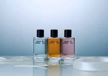 Load image into Gallery viewer, The Scent Edit
