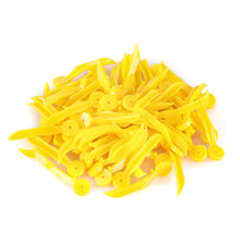 Load image into Gallery viewer, 100pcs AZDENT Dental Disposable Tooth Gap Wedge with Hole All 4 Sizes Dental Wedges Medical Grade Plastic Dentistry Lab Tools
