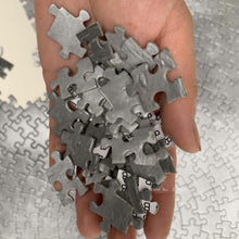 Load image into Gallery viewer, 1000PCS/SETColorful Rainbow Round Geometrical Photo Planet  Puzzle Adult Kids Educational Toy Puzzle
