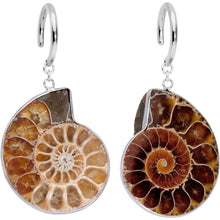 Load image into Gallery viewer, Handcrafted Spiral Ammonite Sea Fossil Ear Weights
