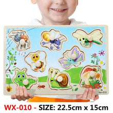 Load image into Gallery viewer, New Hand Grab Board Wooden Puzzle Toys for Children Cartoon Animal Fruit  Kids Baby Early Educational Learning Toy
