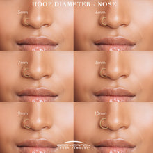 Load image into Gallery viewer, Micro Gem Titanium Hinged Nose Hoop
